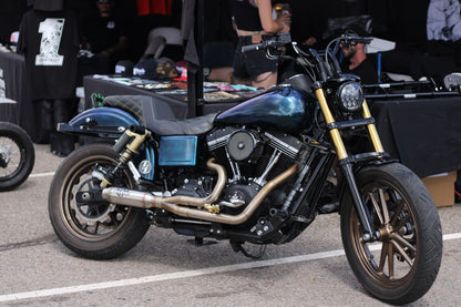 Late model Dyna (06-17)