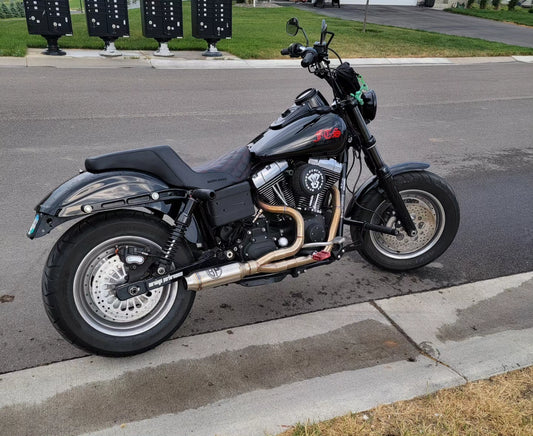Late model Dyna (06-17)