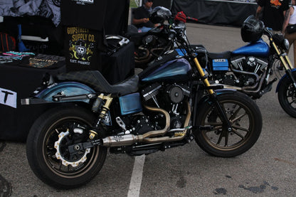 Late model Dyna (06-17)